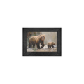 Gallery Frame