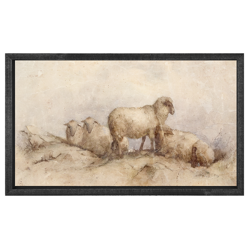 Peaceful sheep - Horizontal Frame