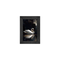 Gallery Frame