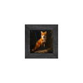 Gallery Frame