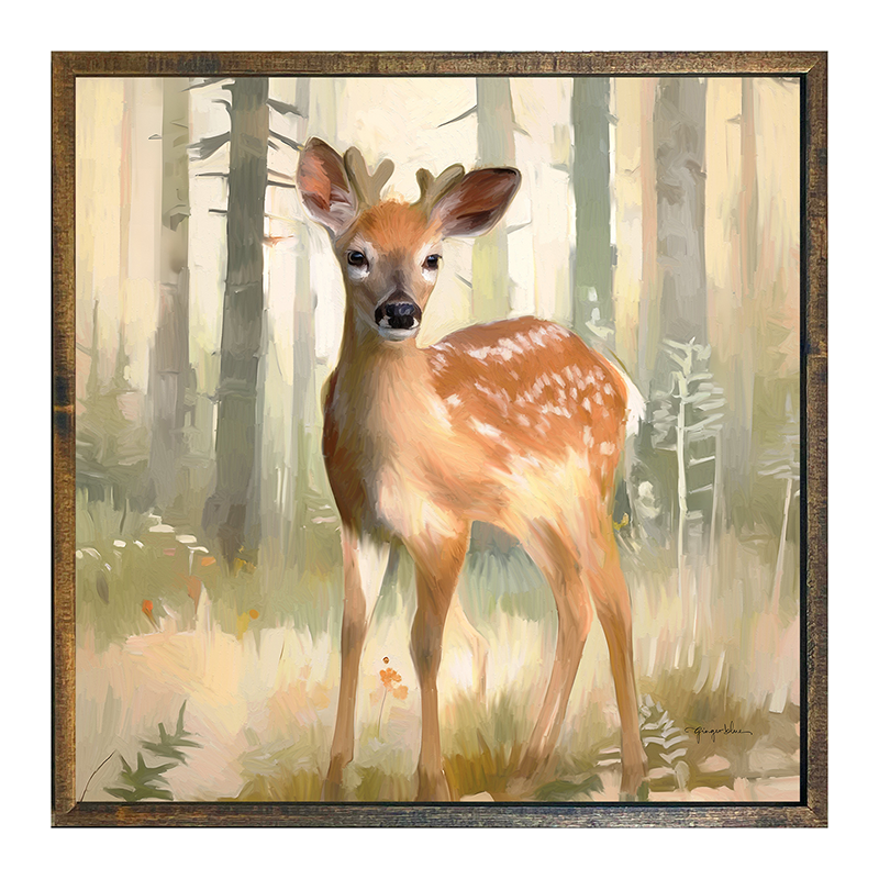 Forest Deer