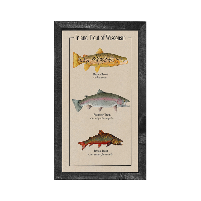 Wisconsin Trout - Vertical Frame
