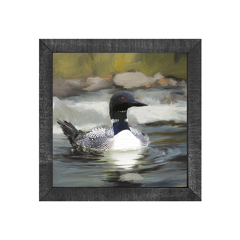 Loon in the Water