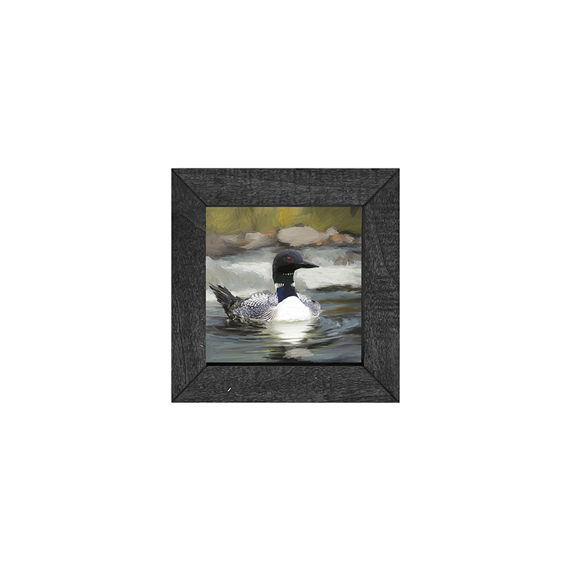 Loon in the Water