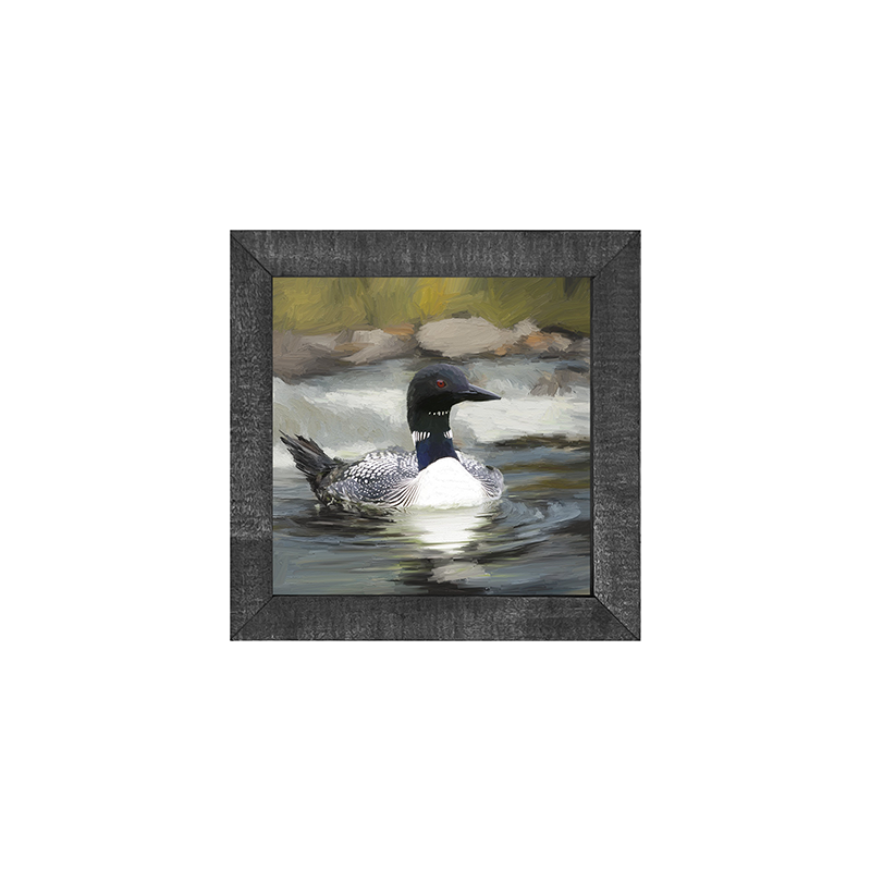 Loon in the Water
