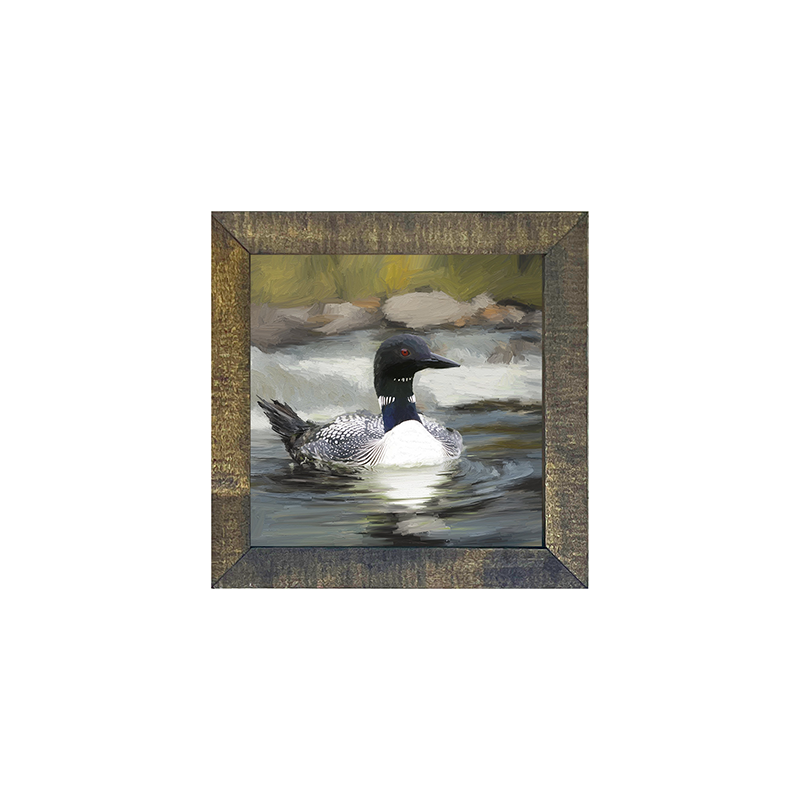 Loon in the Water
