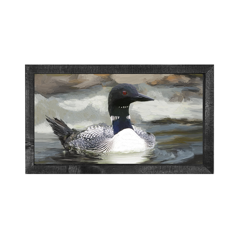 Loon in the Water - Horizontal Frame