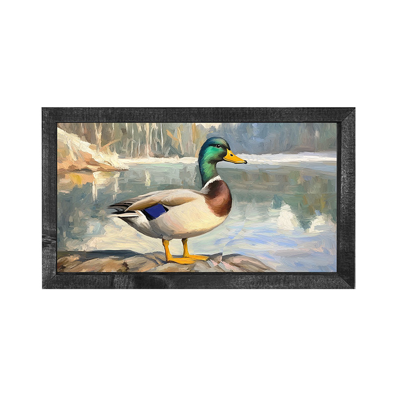 Waterside Duck - Horizontal Frame