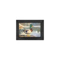 Gallery Frame