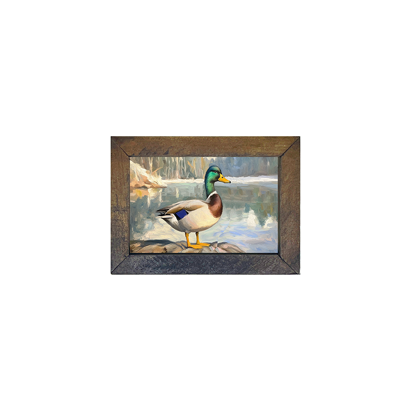 Waterside Duck - Horizontal Frame