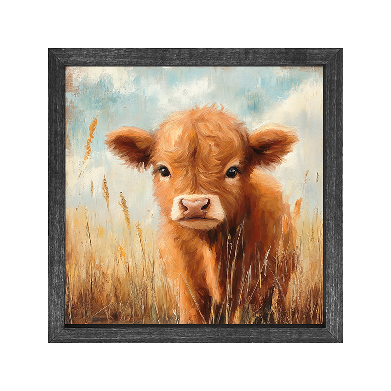 Baby Highland Cow