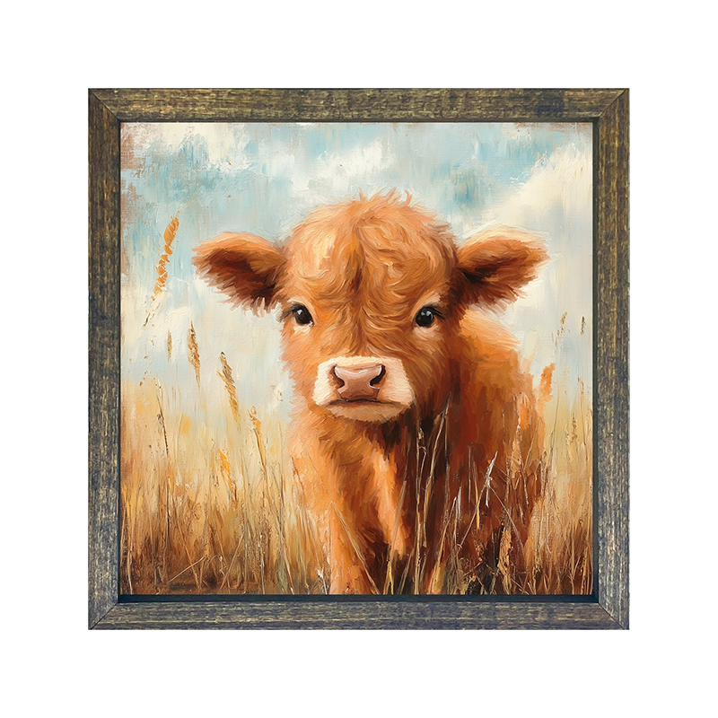 Baby Highland Cow