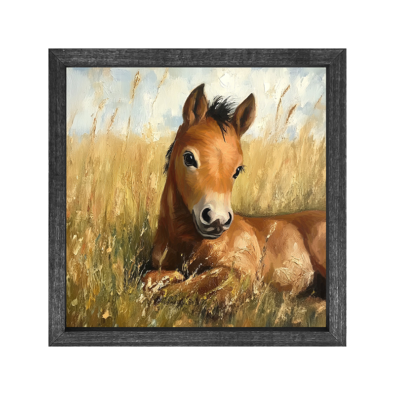 Baby Foal in a Meadow