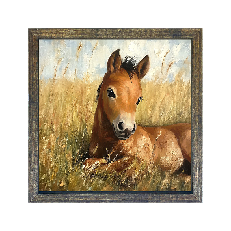 Baby Foal in a Meadow