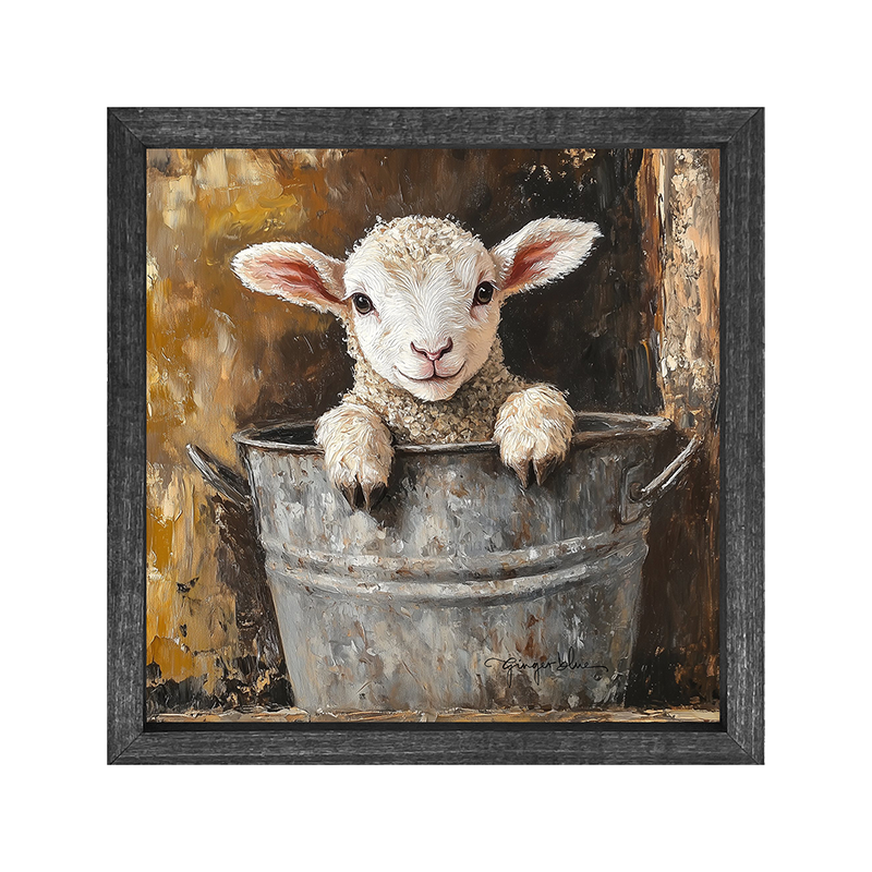 Baby Lamb in Metal Bucket