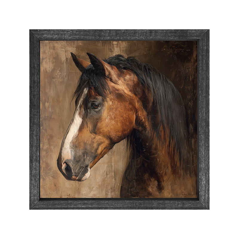 Horse Portrait