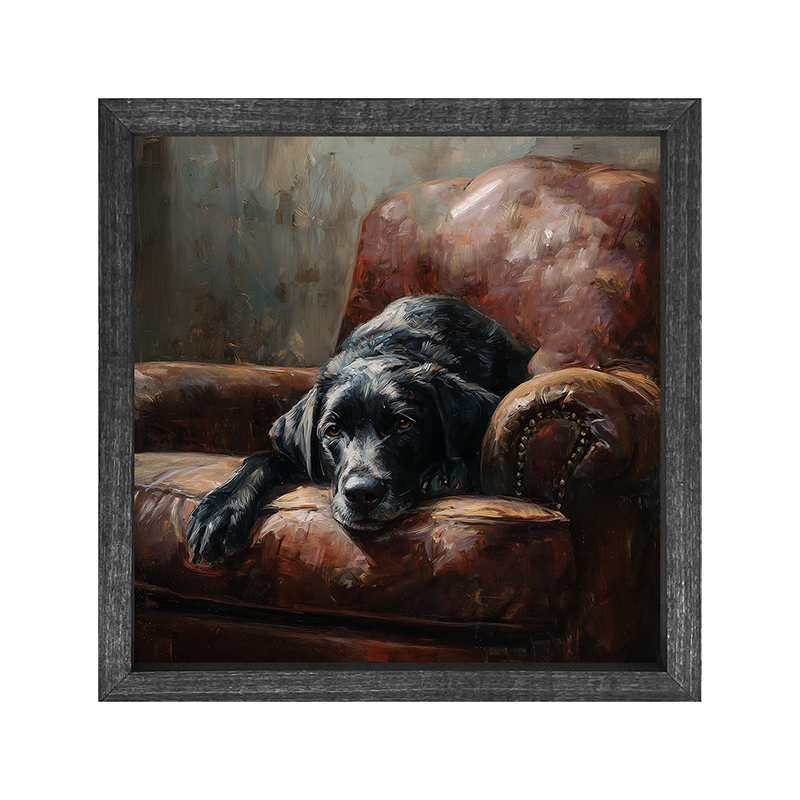 Armchair with Black Lab