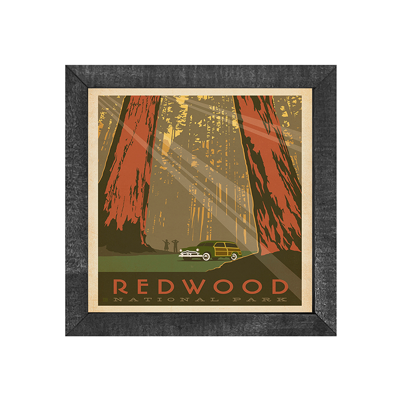 National Park-redwoods