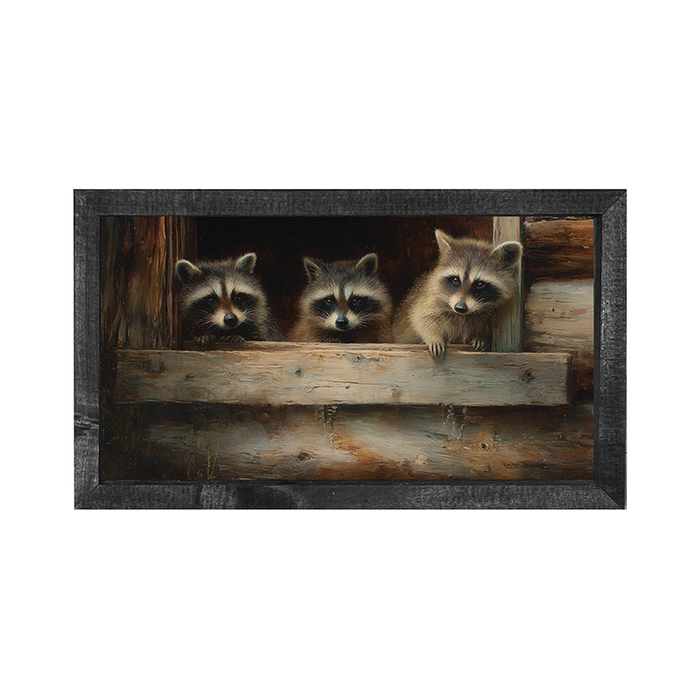 Raccoons in Barn Window - Horizontal Frame
