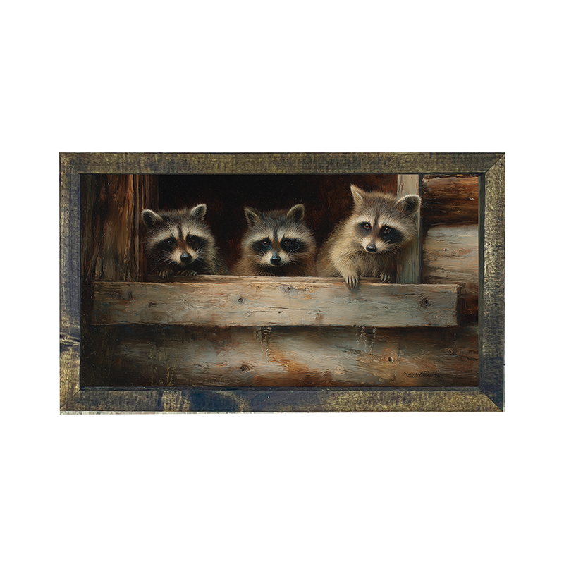 Raccoons in Barn Window - Horizontal Frame