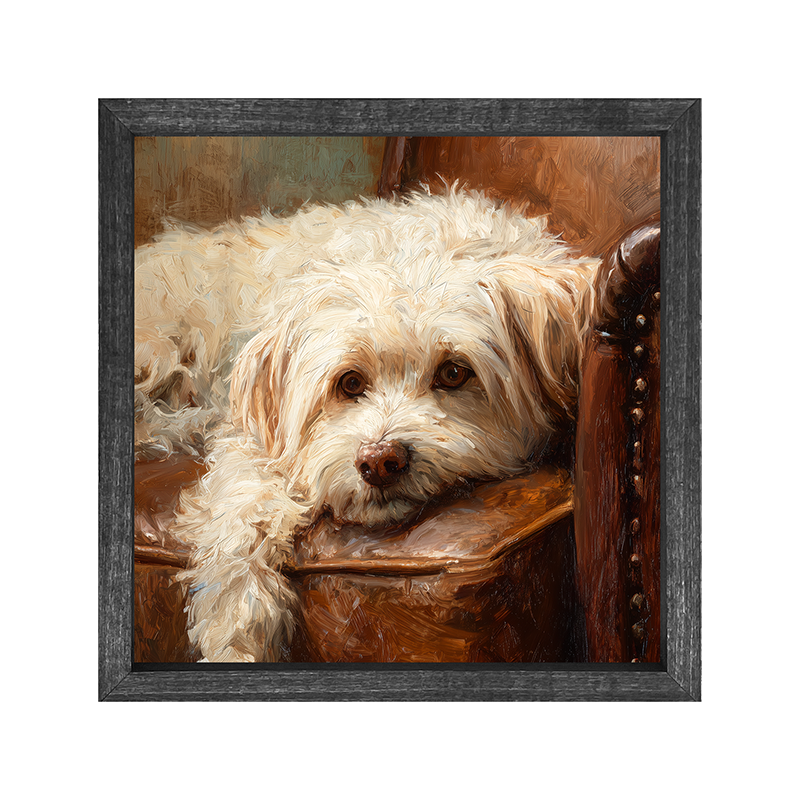 Armchair with Havanese Dog - Square Frame