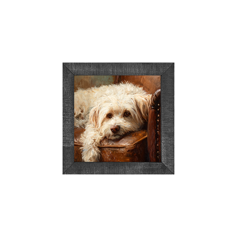 Armchair with Havanese Dog - Square Frame