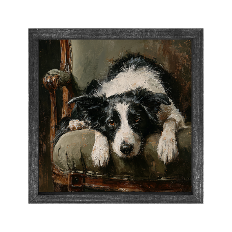 Armchair with Border Collie Dog - Square Frame
