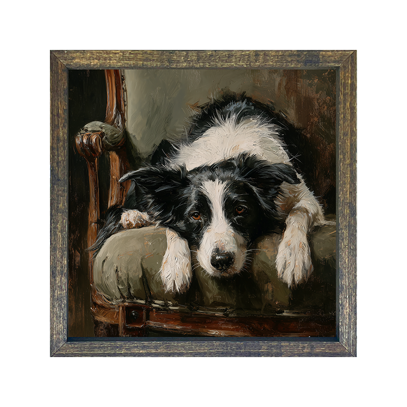 Armchair with Border Collie Dog - Square Frame