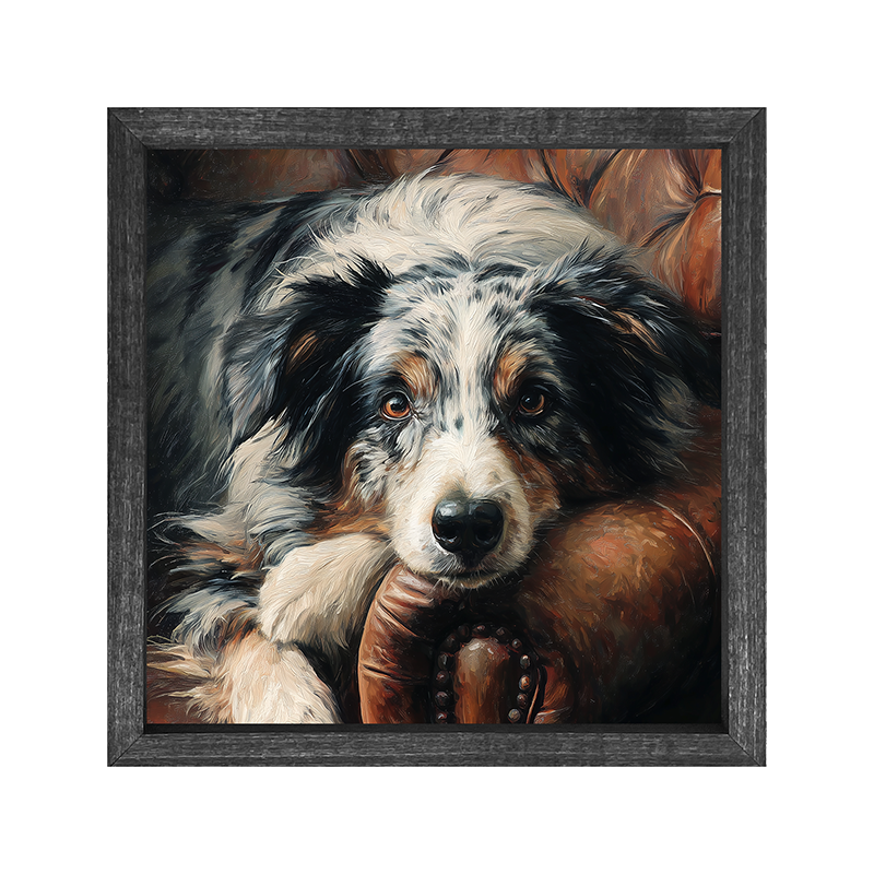 Armchair with Australian Shepherd Dog - Square Frame