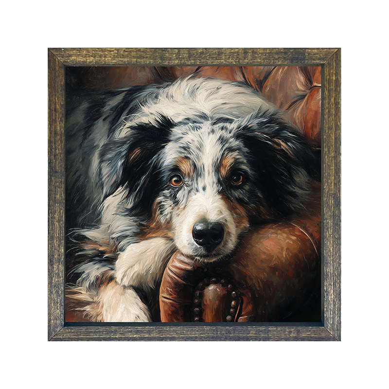 Armchair with Australian Shepherd Dog - Square Frame