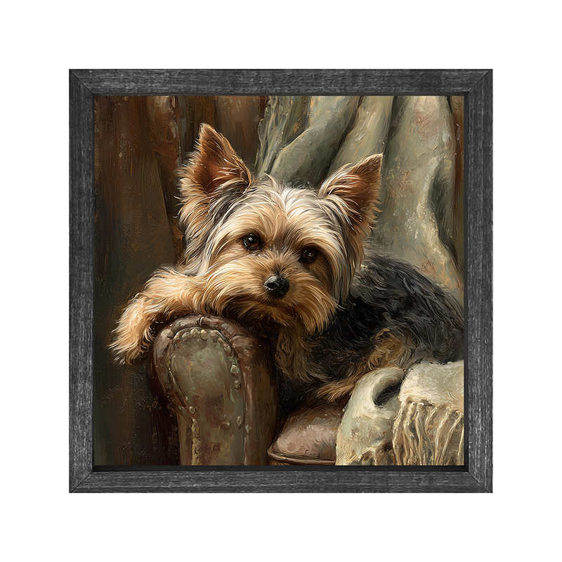 Armchair with Yorkshire Terrier Dog - Square Frame