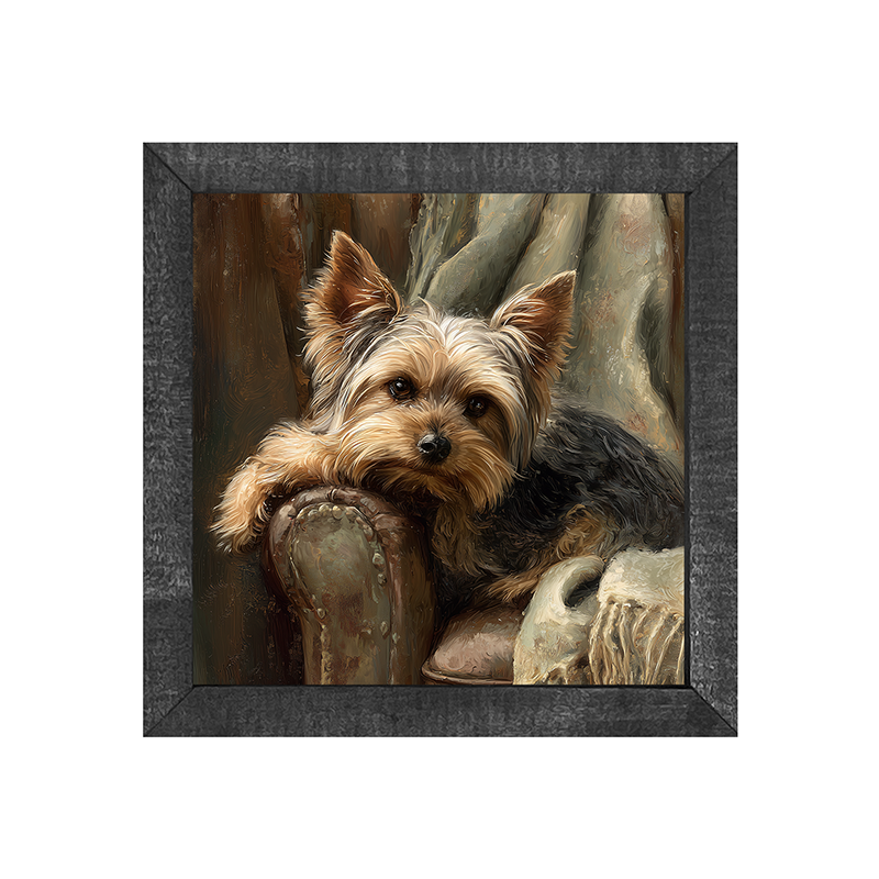 Armchair with Yorkshire Terrier Dog - Square Frame