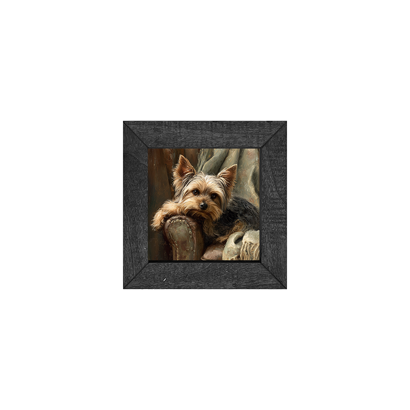 Armchair with Yorkshire Terrier Dog - Square Frame