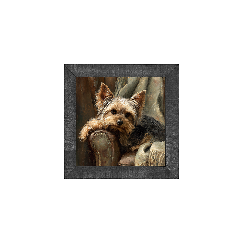Armchair with Yorkshire Terrier Dog - Square Frame