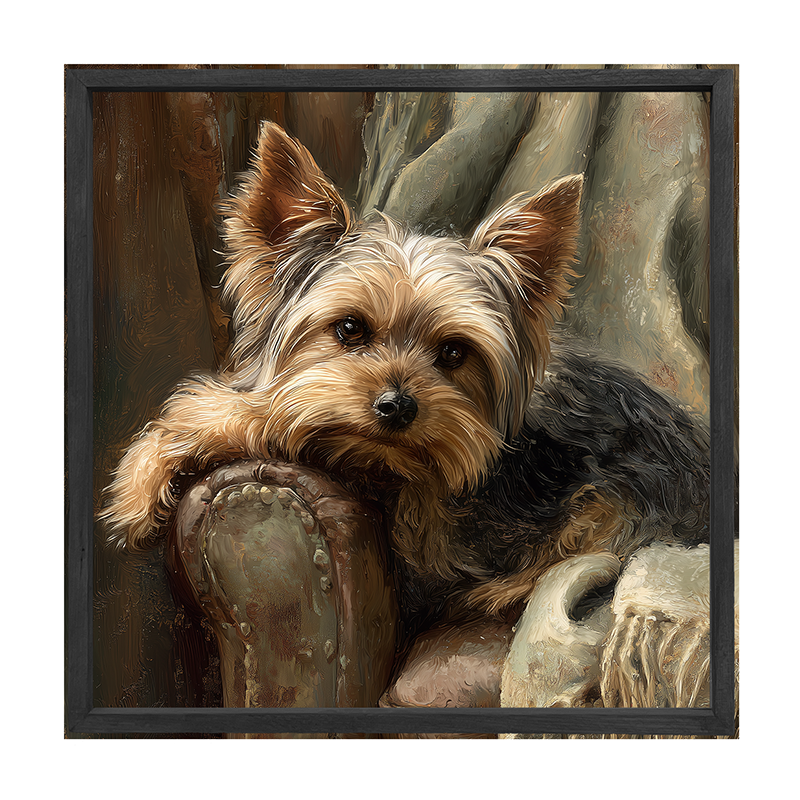 Armchair with Yorkshire Terrier Dog - Square Frame