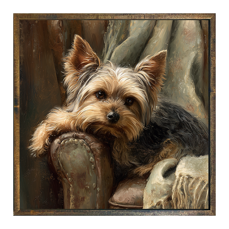 Armchair with Yorkshire Terrier Dog - Square Frame