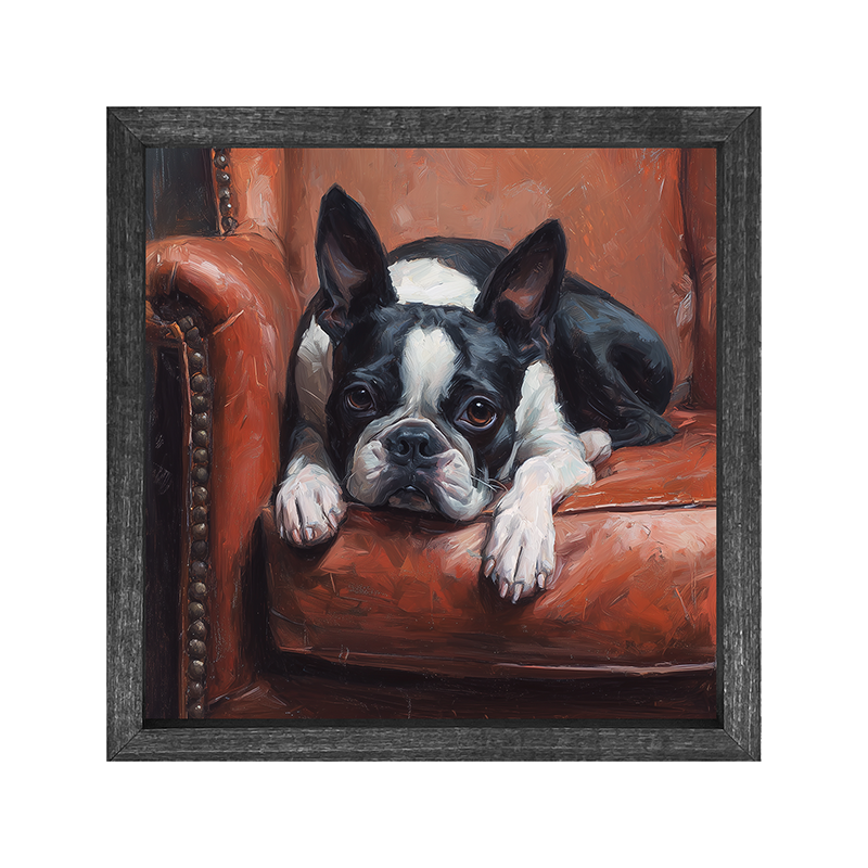 Armchair with Boston Terrier Dog - Square Frame