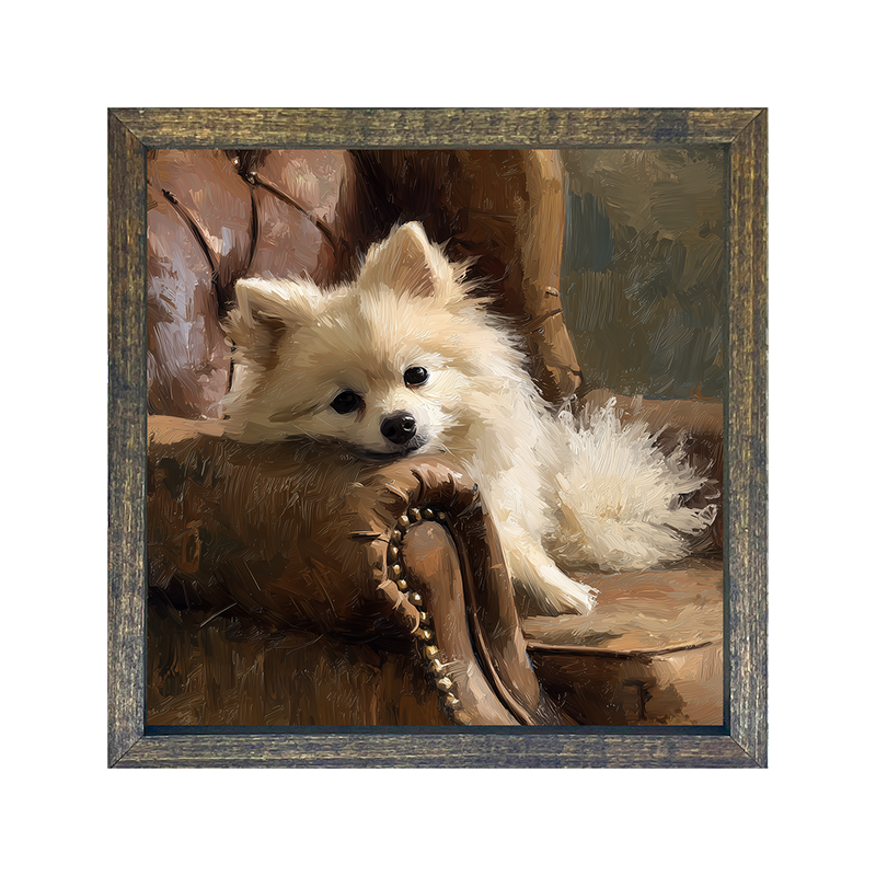 Armchair with Pomeranian Dog - Square Frame