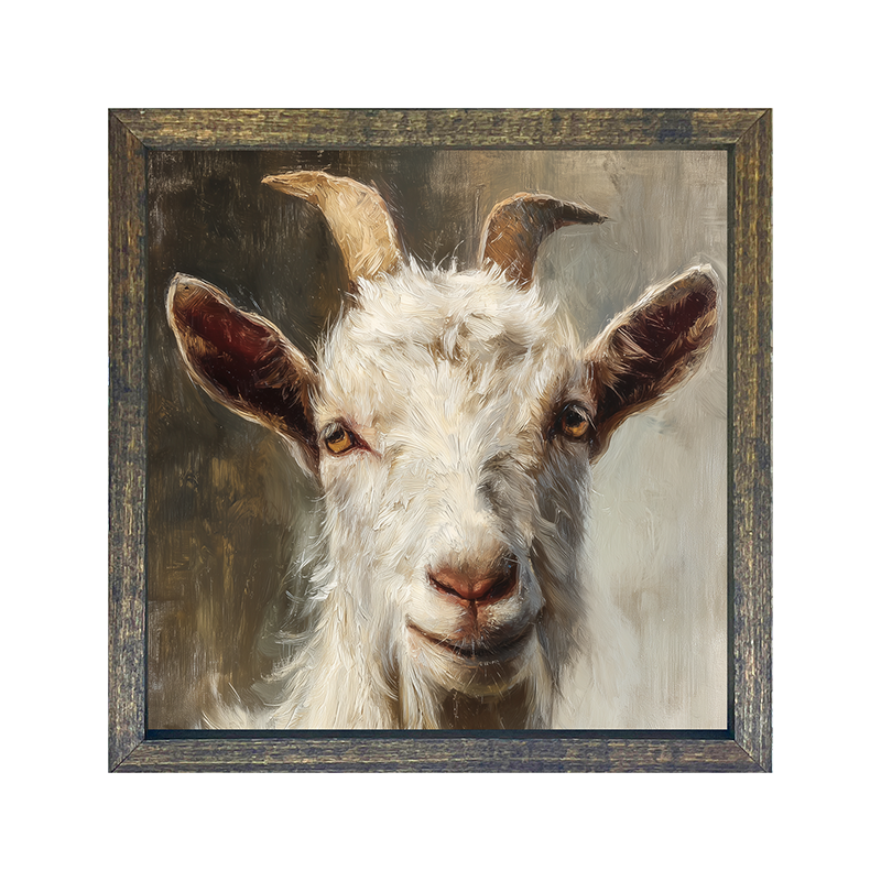 Farm Life Portrait - White Goat - Square Frame
