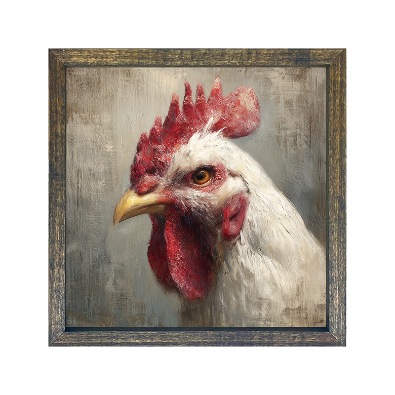 Farm Life Portrait - Golden White Rooster - Square Frame