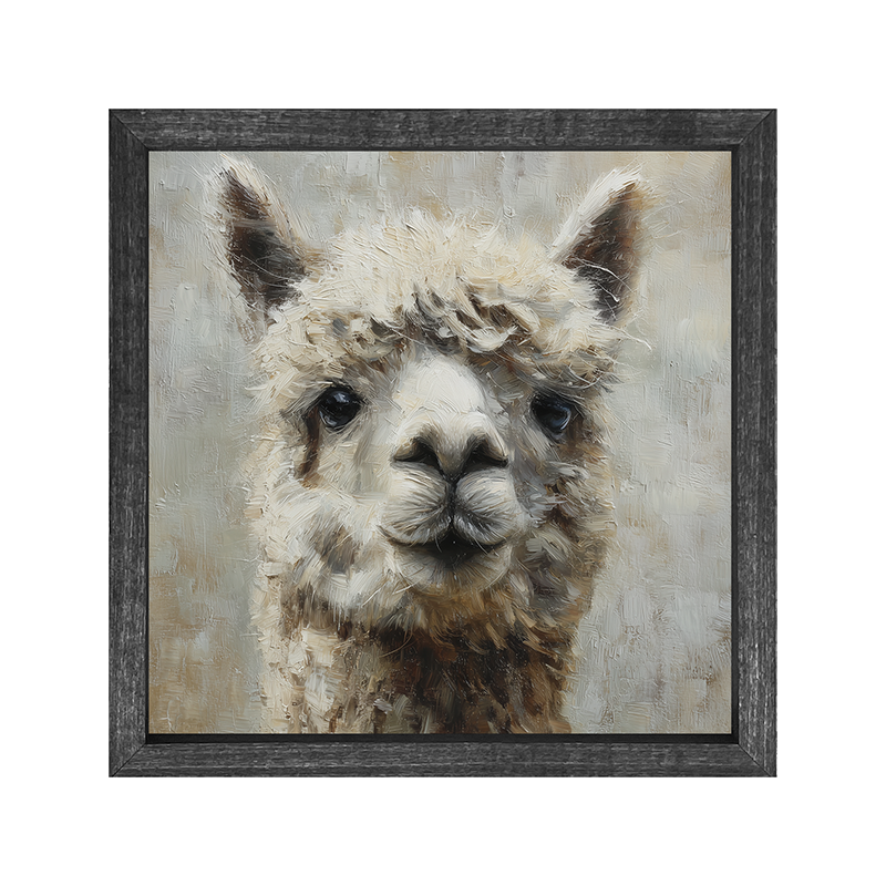 Farm Life Portrait - Alpaca Close-up - Square Frame