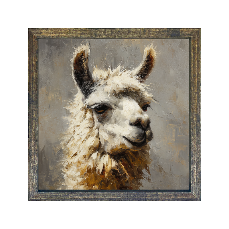 Farm Life Portrait - Llama Close-up - Square Frame