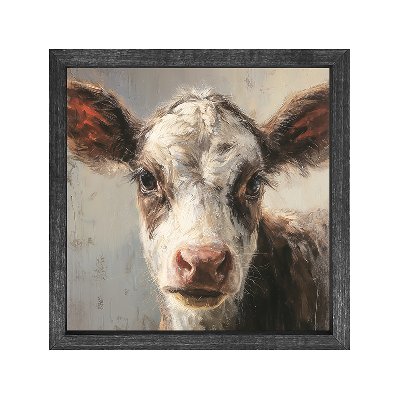 Farm Life Portrait - Calf Close-up - Square Frame