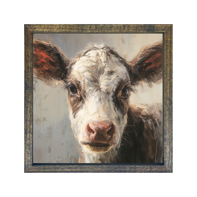 Farm Life Portrait - Calf Close-up - Square Frame