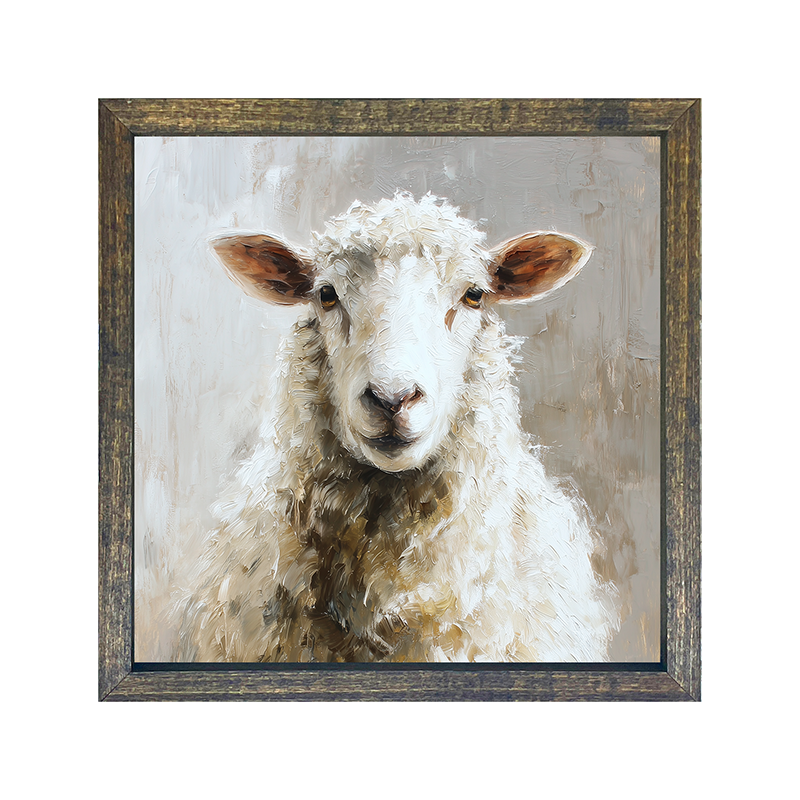 Farm Life Portrait - Sheep - Square Frame