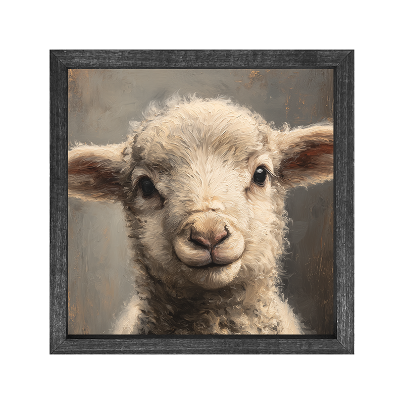 Farm Life Portrait - Lamb - Square Frame