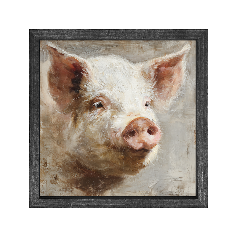 Farm Life Portrait - Pig - Square Frame