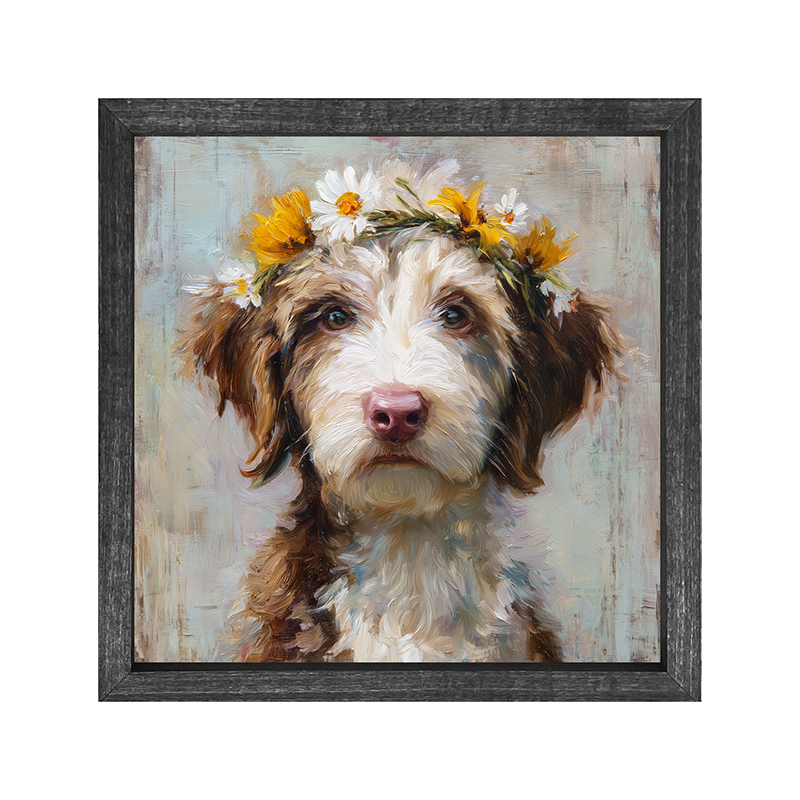 Spring Season Brown and White Labradoodle - Square Frame