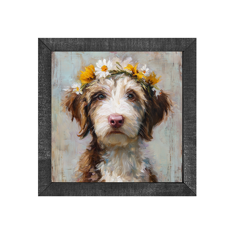 Spring Season Brown and White Labradoodle - Square Frame