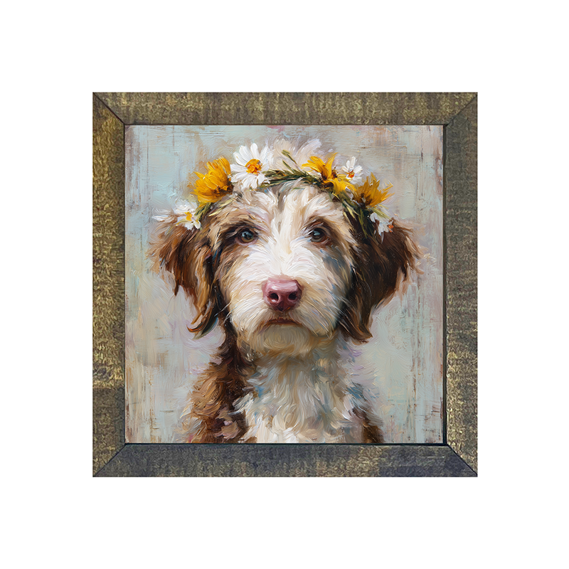Spring Season Brown and White Labradoodle - Square Frame